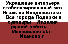 Украшение интерьера стабилизированный мох Ягель во Владивостоке - Все города Подарки и сувениры » Изделия ручной работы   . Ивановская обл.,Иваново г.